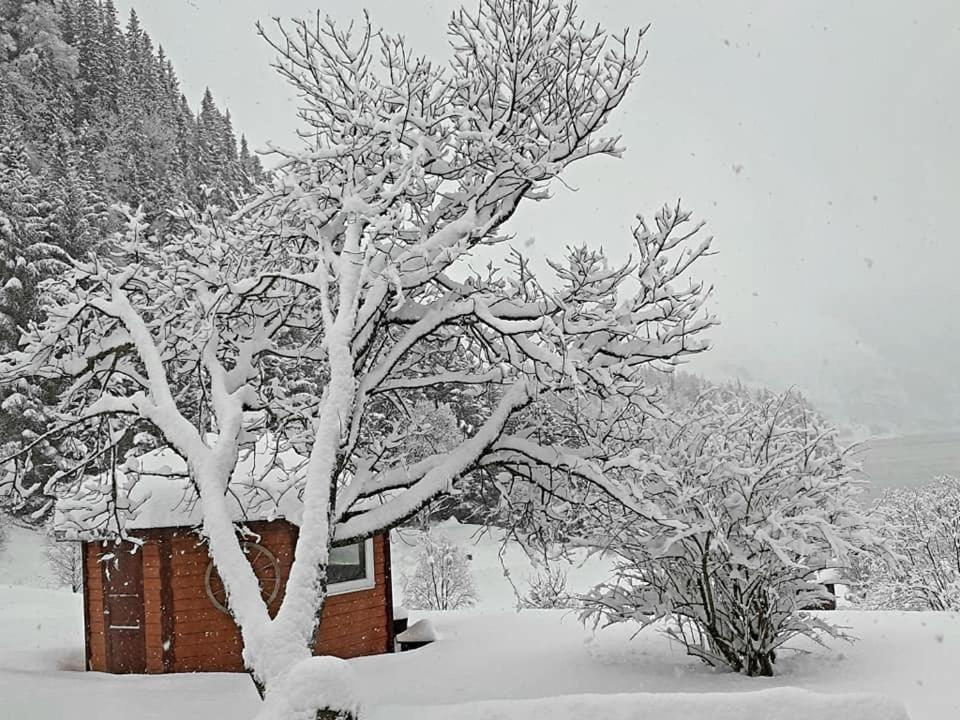 Graceland Norway Foldereid エクステリア 写真